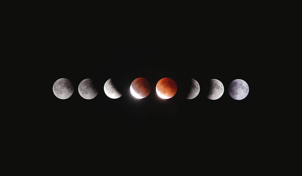 the phases of the moon